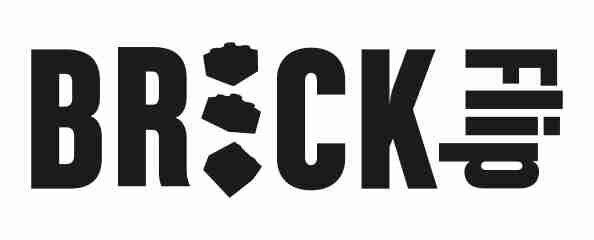 Logo BRICK Flip