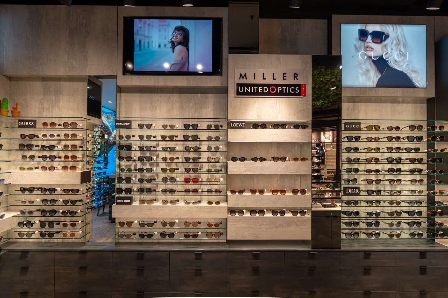 Beleuchtetes Brillenregal bei Miller United Optics mit Designer-Sonnenbrillen von Marken wie Guess, Loewe, Gucci und Dior.