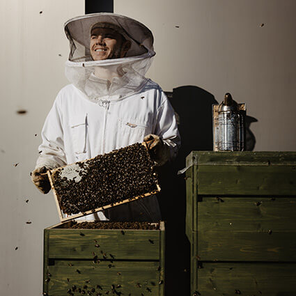 KHT_BienenamDach_20.10 Bienen am Dach
