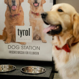 Dog-Station_9zu16_1